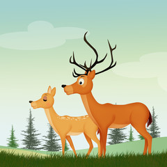 deer couple in the forest