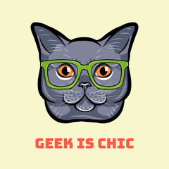Muzzle of gray cat wearing in glasses. Cat geek.  illustration.