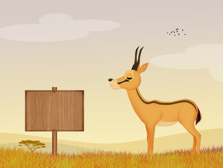illustration of gazelle in the jungle