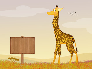 Naklejka premium illustration of giraffe in the jungle