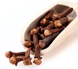 dry cloves on white background