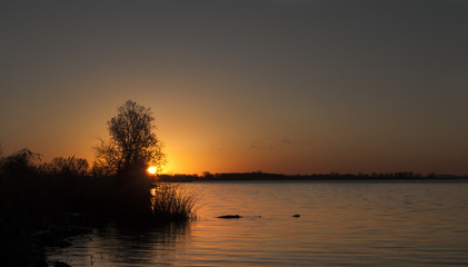 Fototapeta na wymiar Lake at golden hour with waterfowl flying