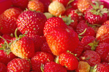 Background of ripe strawberries