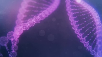 two rotating plexus DNA chains with impulses running through - purple version. - Powered by Adobe