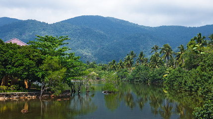 Lake in the jungles