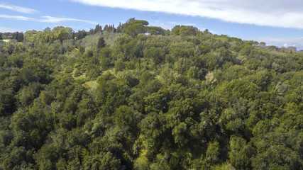 Fototapeta na wymiar Aerial view of a dense forest on the slopes of a mountain. There are many trees that color the environment green. There is nobody in this beautiful sunny day. The sky is blue and cloudy.