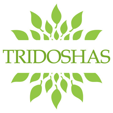 Tridoshas Leaves Green Circular 