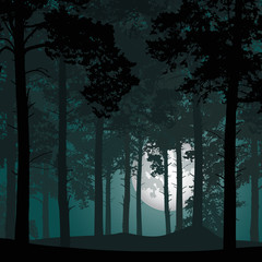 vector illustration of a deep coniferous forest under a night sky