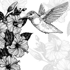 Hand drawn tropcal card with hibiscus flowers and hummingbird. Template design.