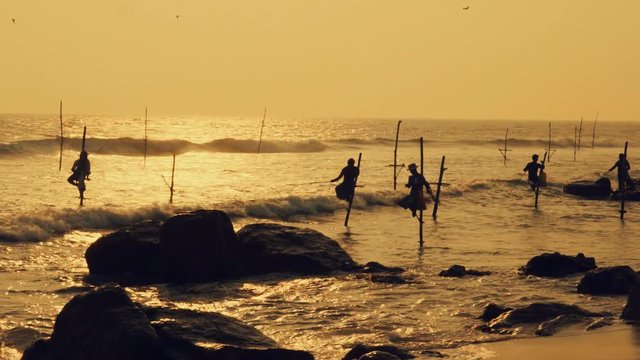 Traditional Sri Lanka sea fisherman at work under sunset sunlight. Most popular cultural icon for travelers on the beaches