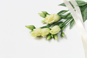 Fresh white flowers eustoma on white background with copy space. Young tender flower buds.