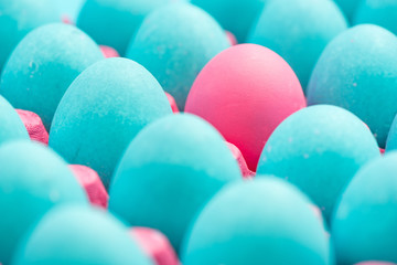 Be different conceptual visual art of eggs