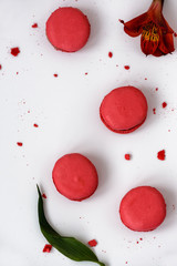 macarons on a white background