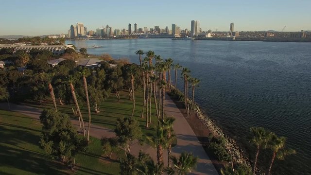 4k San Diego Palm Trees Sun Rise 007 Boom Down