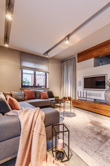 Cozy living room interior