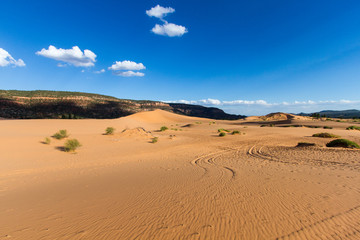Coral Pink Sand Dunes 5