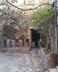 Yard Garden in Damascus 2018