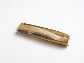 Raw razor clams © Ángeles Aldariz