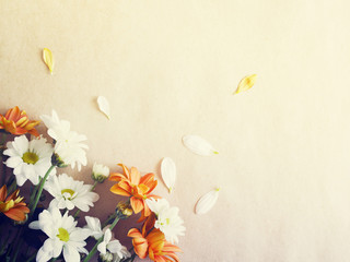 White and orange flowers of a chrysanthemum on a paper, top view, copy space. Spring flower background