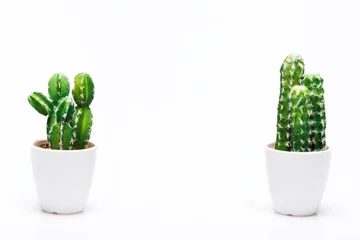 Foto op Plexiglas Kleine decoratieve cactus in vaas geïsoleerd op neutrale achtergrond. © BigBlueStudio