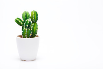 Petit cactus décoratif dans un vase isolé sur fond neutre.