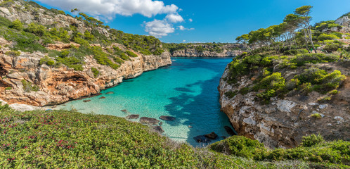 Panoramic view of Es calo des Moro beautiful beach. Pine trees shadows on the crystalline water. Clasified as one of the best beaches in the world. Located in Majorca, Balearic Islands, Spain.