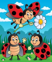 Fototapeta premium Happy ladybugs on meadow image 2