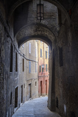 Fototapeta na wymiar Siena, Italy: historic buildings