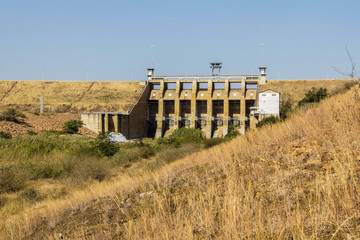 Stema