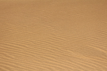 Fototapeta na wymiar Ripples in the beach dunes along the coast