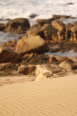 Fototapeta na wymiar Ripples in the beach dunes along the coast