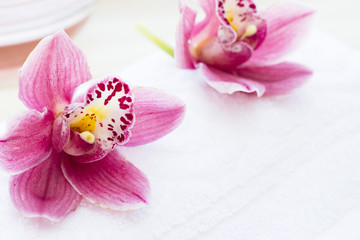 Fototapeta na wymiar Spa and wellness setting with orchid on wooden white background closeup
