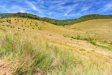 Beautiful landscape meadow from World's End within the Horton Plains National Park in Sri Lanka.