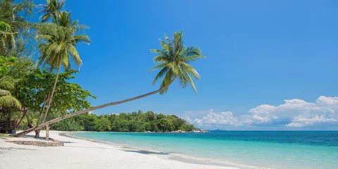 Foto auf Acrylglas Strand und Meer Tropisches Strandpanorama mit einer schiefen Palme, Bintan-Insel in der Nähe von Singapur, Indonesien