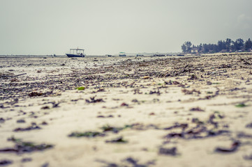 Spiaggia con bassa marea