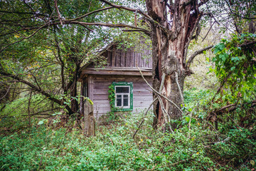 Fototapeta na wymiar wooden cottage in small abandoned village called Stechanka in Chernobyl Nuclear Power Plant Zone of Alienation, Ukraine