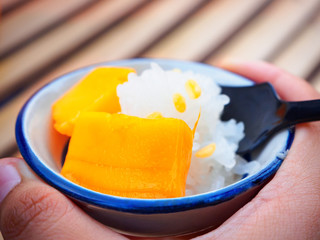 Top view and close up: Popular dessert menu of Thailand. Sweet golden mango with sticky rice in a white plate isolated on white background.