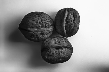 Three monochrome isolated walnut on a white background