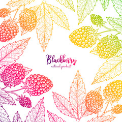 Colorful vector frame with blackberry. Healthy food design template with berries. Vegetarian food for label, packaging design, menu, cafe, restaurant, recipes, decoration kitchen items.