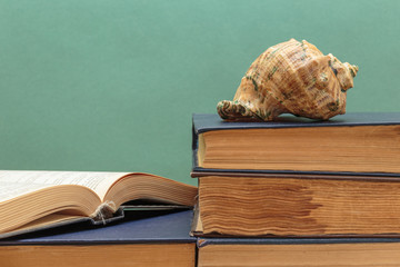 old books on a wooden shelf and seashell