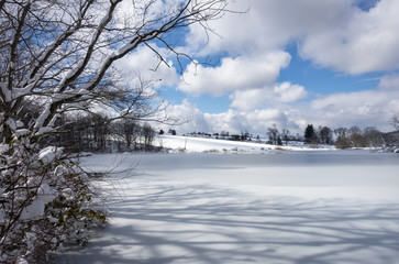 Sunny Frozen Pond in the Hudson Valley of New York