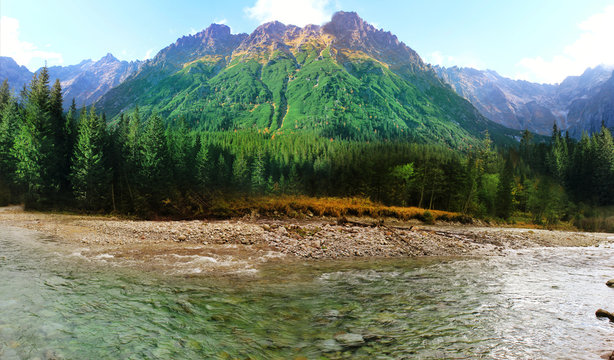 Panoramic view of mountains and forests near the mountain river. © markasia