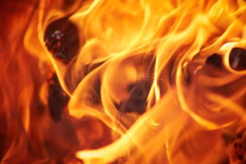 Fire in the fireplace close-up. Flame of fire. Hellfire.