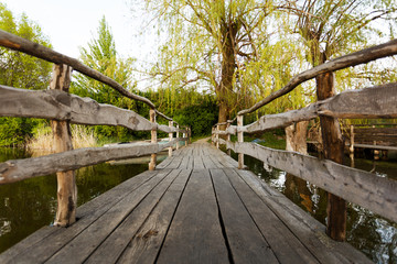 Fototapeta na wymiar Wooden bridge leading to the shore