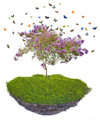 island with butterfies above green grass and lilac blossoming tree