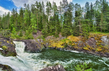 green waterfall between dark pines