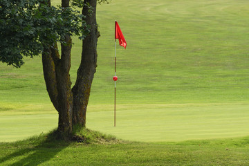 Obraz premium Golf Fahne neben einem Baum auf dem Golfplatz