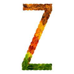 Autumn leaves bright letter Z. Natural multi layers living leaves isolated on white background. Colorful character of alphabet letter font. Element nature for decoration, design inscription.