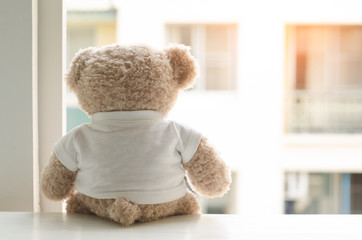 Teddy bear sitting by the window