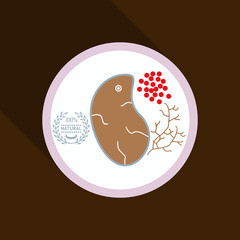 Grilled meat steak , herb on white dish in flat icon style